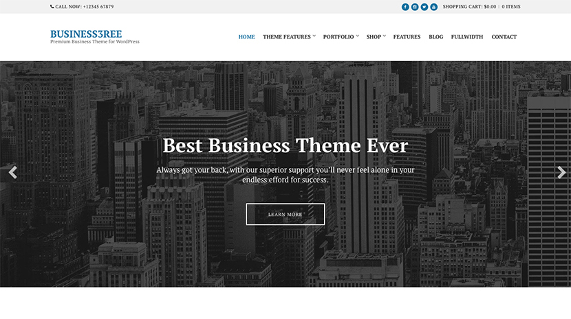 best wordpress themes