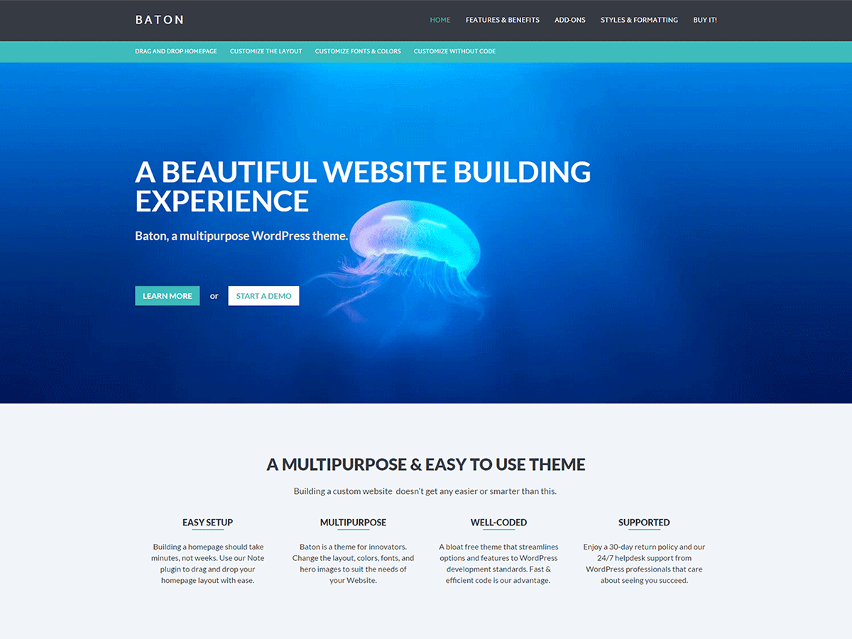 best wordpress themes