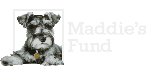 Maddie’s Fund white logo